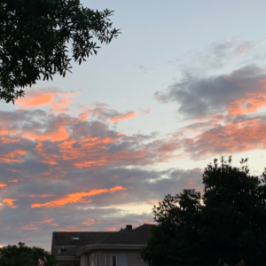 EP005｜旅行时的我们 究竟在期待什么