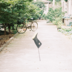 痛苦不好，敏感是好的。我要珍惜这样的敏感。