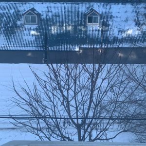 010 | 关于凯文·凯利《宝贵的人生建议》