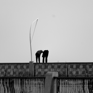 【23】我的独居生活碎碎念3—人生的闭环