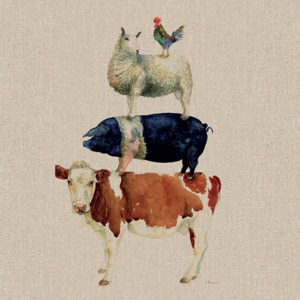 25. 界门纲目科属种，鸡鸭鱼兔猪牛羊，聊一聊经济动物