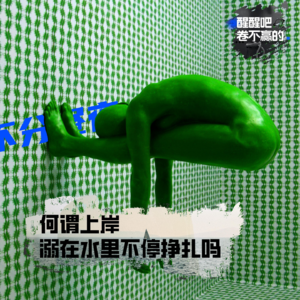 vol.6 何谓上岸，溺在水里不停挣扎吗|谈内卷