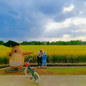 #14 “考研还剩一个月,我想放弃了” :考试倒计我要做些什么?