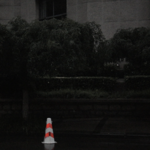 方言读诗-康斯坦丁·卡瓦菲斯《一个二十四岁的青年诗人》