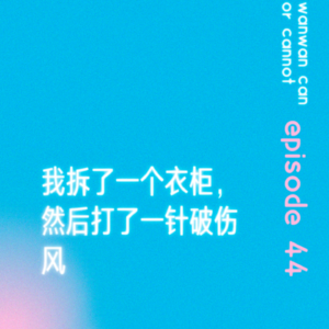 EP44|我拆了一个衣柜,然后打了一针破伤风