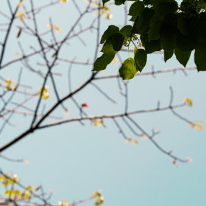 12.我们去春游啦！