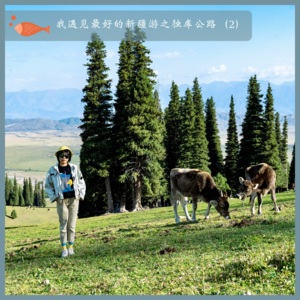 52.我遇见最好的新疆游之独库公路（2）