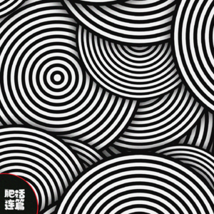 VOL.040：半夜跑进莫干山，突然灯全灭了……