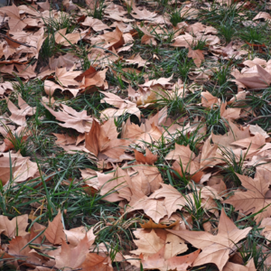 001冬日里的温暖告别与展望：如获新生的开始