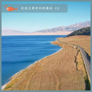 51.我遇见最好的新疆游（1）