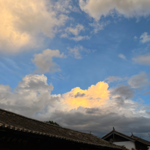 48. 回到大理的日子:时隔一年,我们依然爱ta