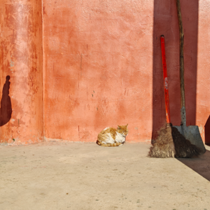 4.爬山？你的意思是让我去吃苦么