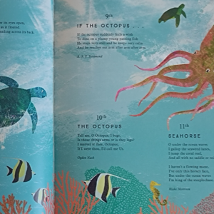 【为你读诗】day 17：《海龟》& 《章鱼》