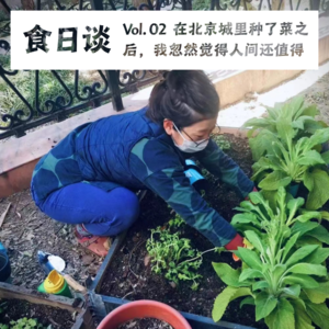 在北京城里种了六年菜，我觉得人间值得 | 都市农夫 Vol.02 