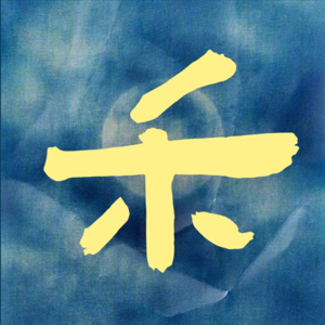 11-聊实习求职-大学历险记-小禾同学（上期）