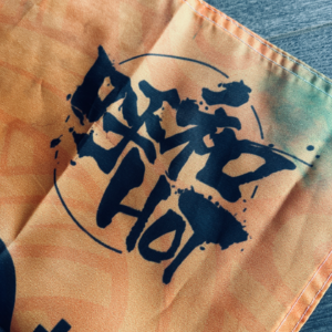 寥聊 #055 播客死了,那什么还活着?(嘉宾:熊猫)