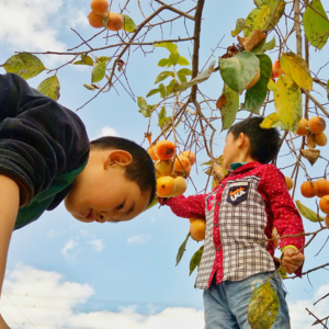 8. 支教，是村里孩子的需要还是你的需要？