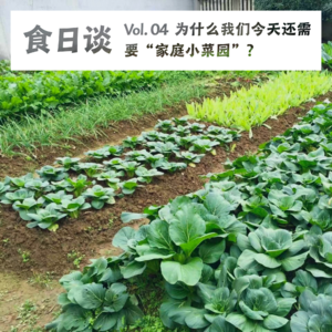 家乡的“土鸡鲜蔬”到底是什么,农民自己吃的和市场上卖的一样吗?Vol.04