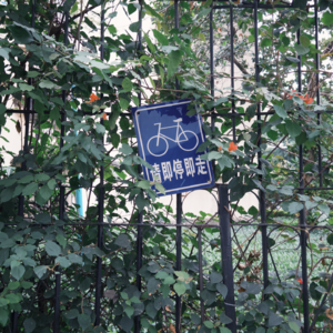 #05. 日复一日的快节奏生活被按下暂停键后，究竟是无限的自由和快乐还是无尽的空虚和焦虑？