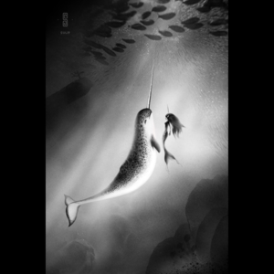 vol.6 爽～在海里感受到飞起来，抬头看着光线折射的海面就像是天空！