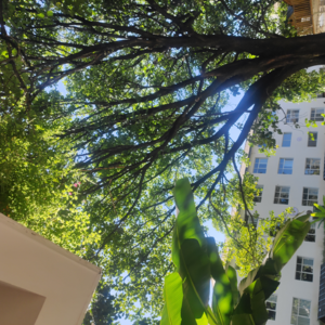 #漫游日记vol·1 《男孩和夏天》