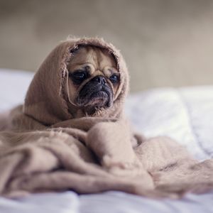 69 想当咨询师/教练，到底要不要考证？