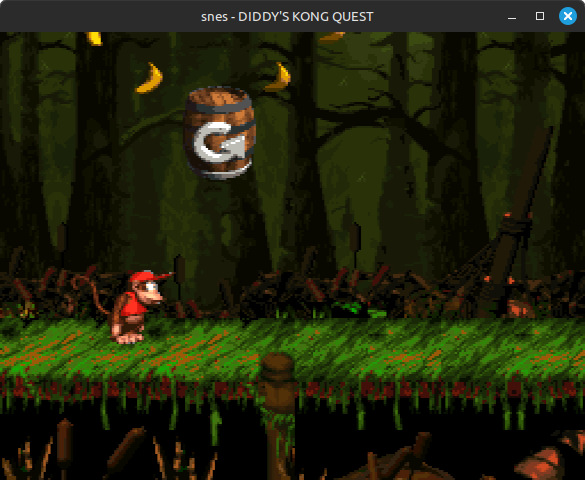 Donkey Kong Country 2 SNES Barrel Bug