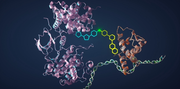 科学家启动癌细胞自毁新机制