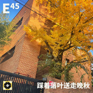 E45｜踩着落叶送走晚秋