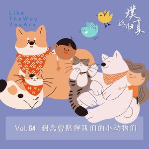 064：想念陪伴过我们的小动物们