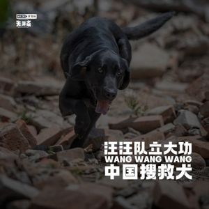 vol.261 汪汪队立大功：中国搜救犬