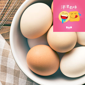 一只鸡蛋的冒险之旅