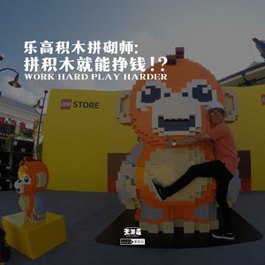 vol.314 乐高积木拼砌师：拼积木就能挣钱？！