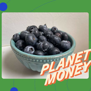 How the War on Drugs got us... blueberries