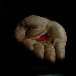 第38集:吞了红药丸,真的能让男人看清现实吗?