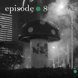 Vol. 8 蘑菇WALK：在北京的绿色蘑菇发现之旅