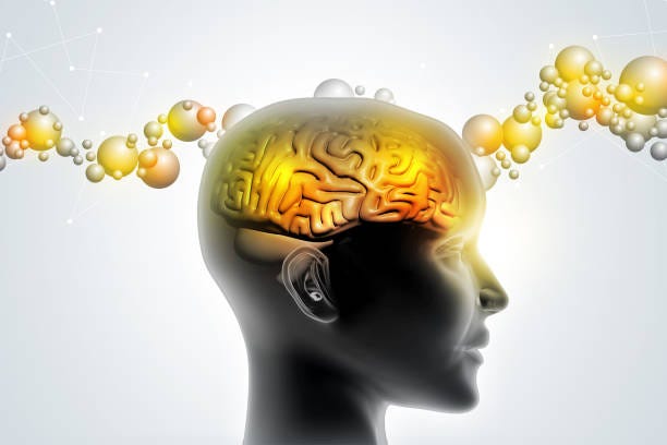 The Dopamine Illusion: Why Your Brain Craves What It Doesn't Enjoy | by  Ritika Lashkari | Science For Life | Medium