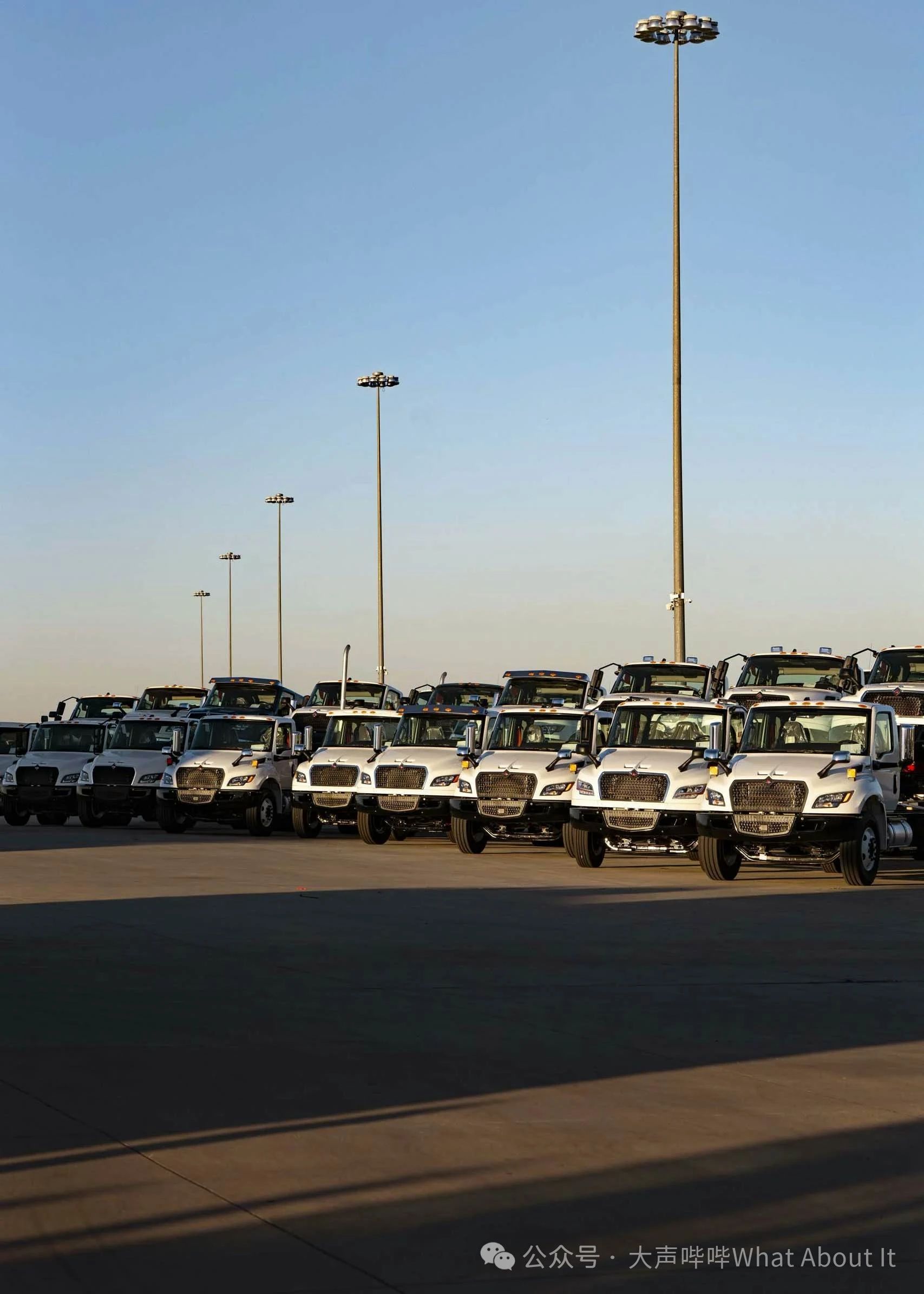 A row of white trucks