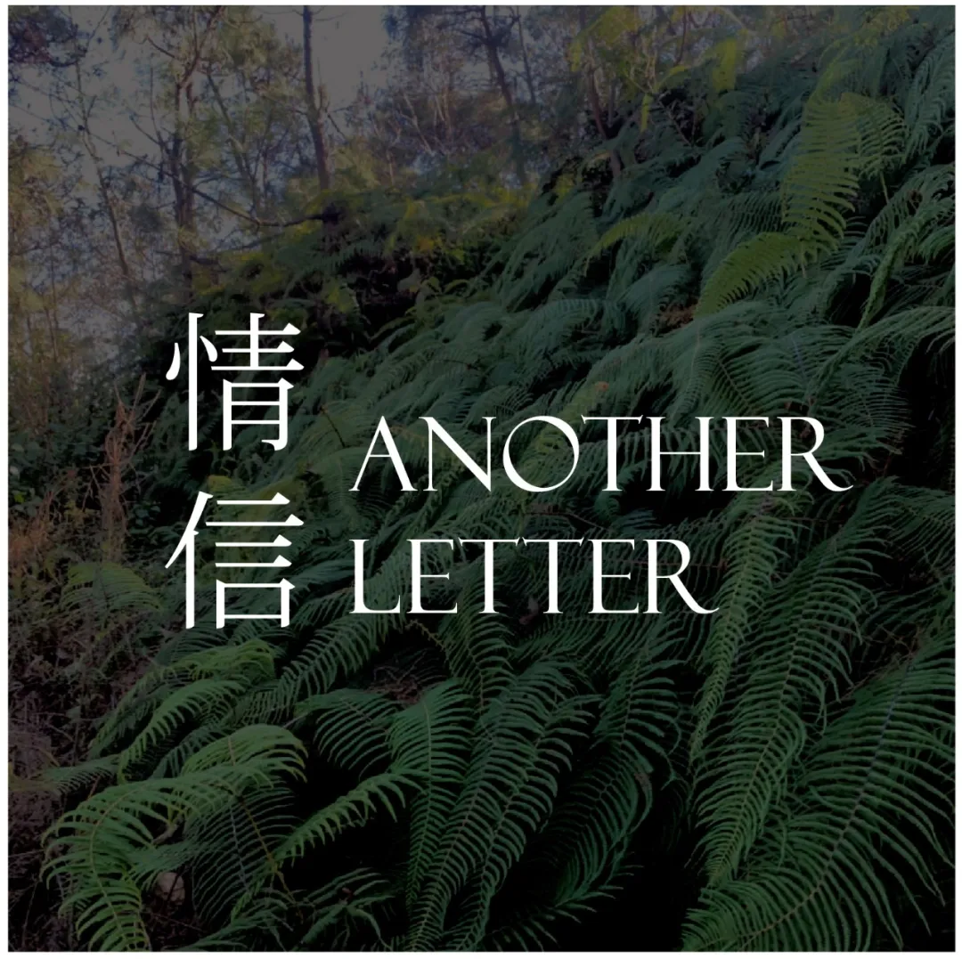 哨声 - 情信AnotherLetter | 小宇宙 - 听播客，上小宇宙