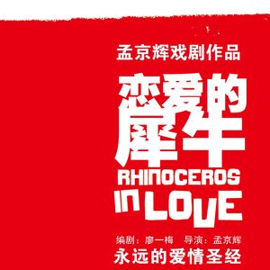 《恋爱的犀牛》爱你是我做过最好的事情