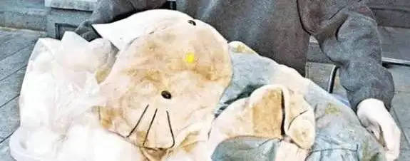 香港十大奇案系列之十：Hello Kitty藏尸案