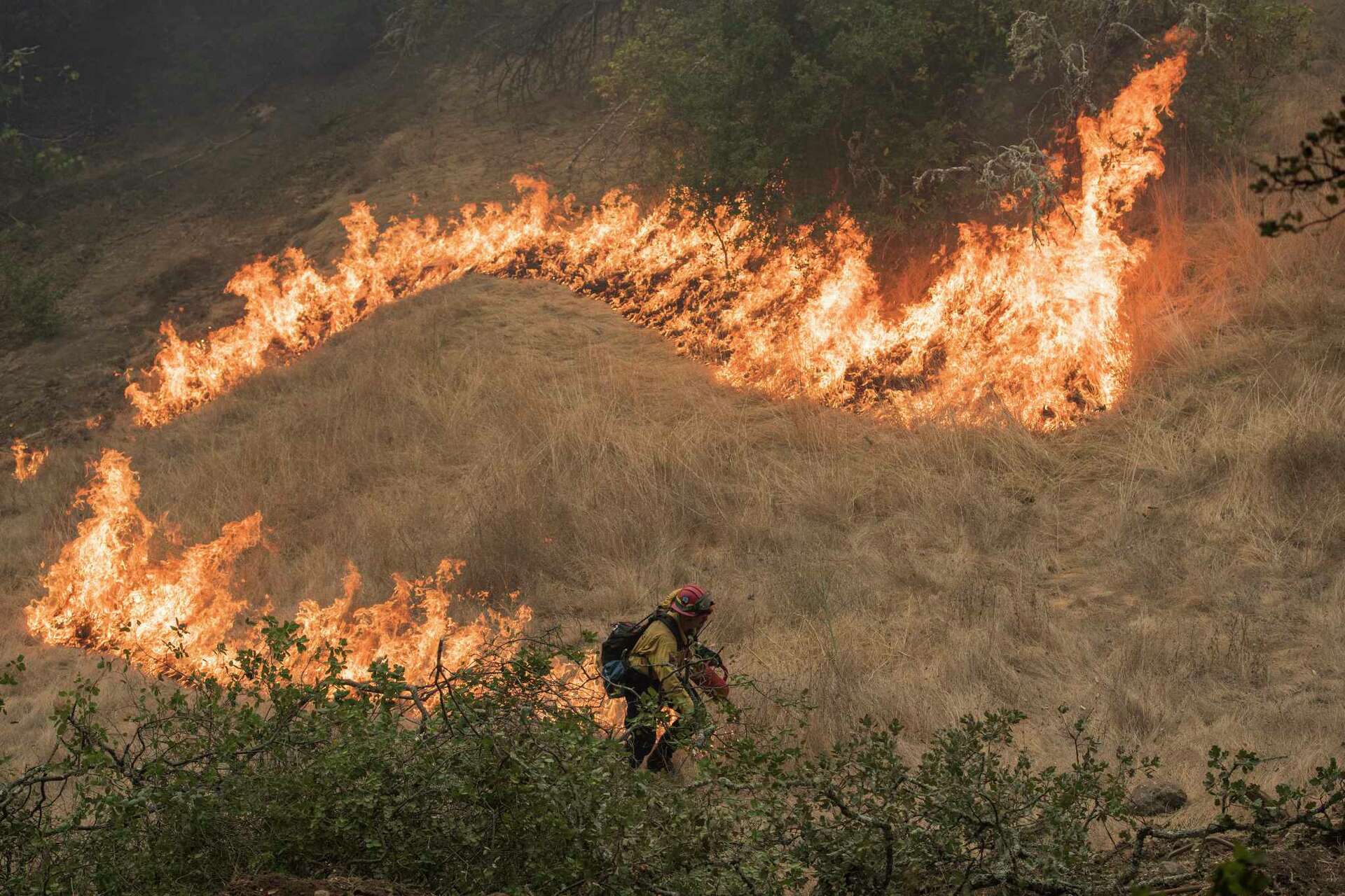 US Forest Service halts prescribed burns in California