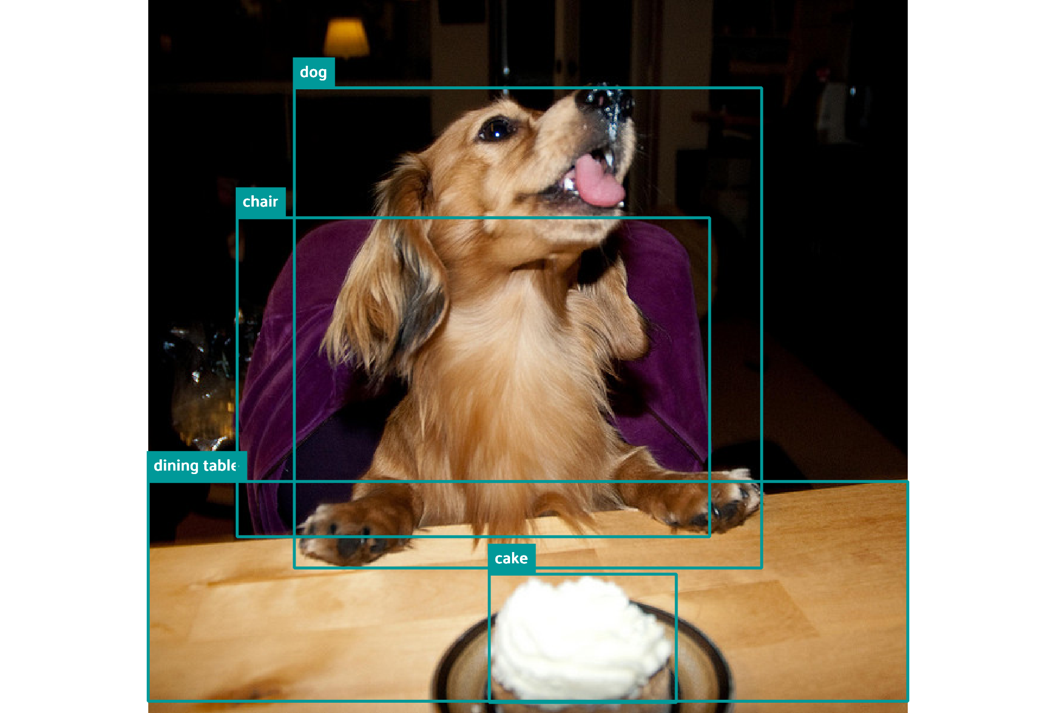Gemini 2.5 bounding box on dog image