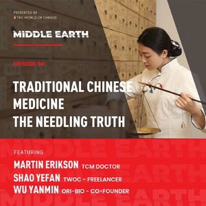 #94 Traditional Chinese Medicine – The Needling Truth