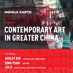 #80 Contemporary art in Greater China : the biggest market in the world (Part 2 - Chinese art collectors )