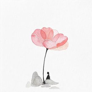 话包包白